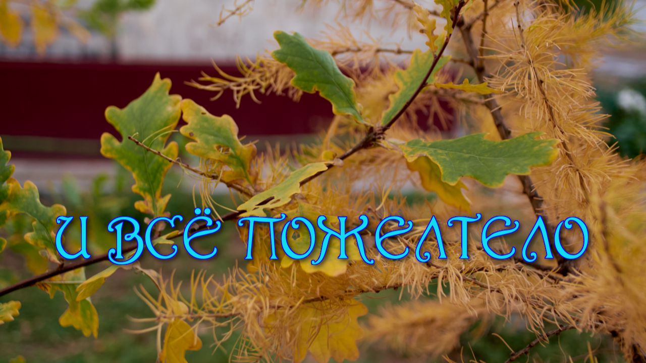 Природа родного Алтая