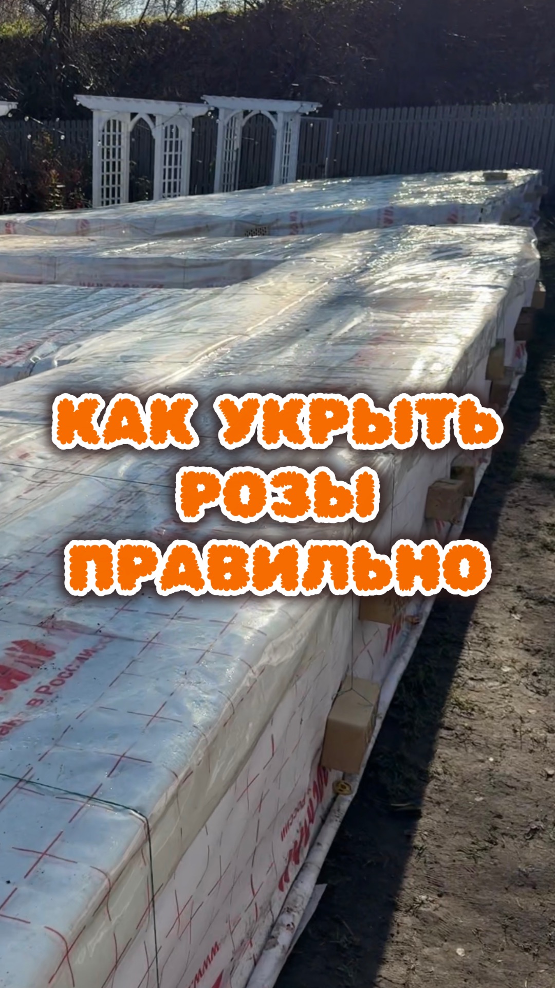 ПроЦветы