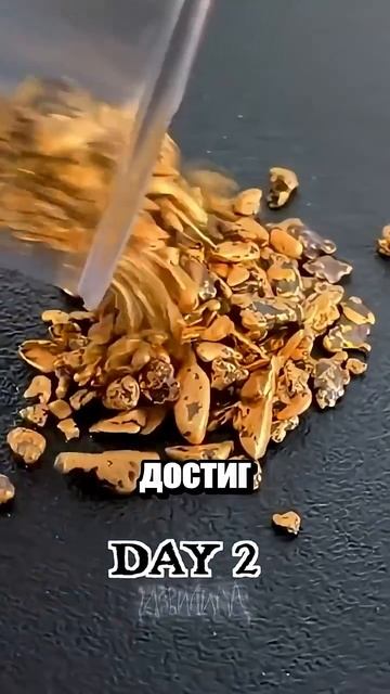 последняя извилина