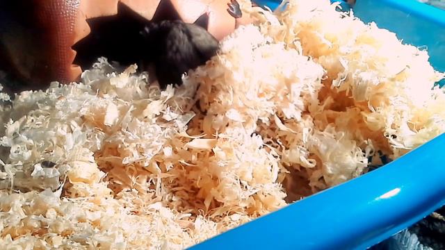 ASK•KEKC•4 | БЫЛО ИЛИ НЕ БЫЛО | KEKC CHANNEL смотреть онлайн