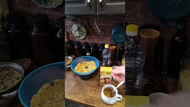 делаю горчицу в банке из зёрен горчицы смотреть онлайн