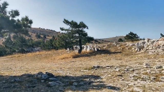 Антикризисное море. Часть 2. смотреть онлайн