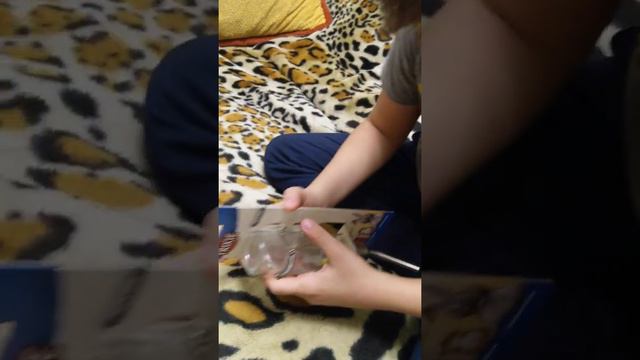 Покупка поильника TRIXIE для Пепсика