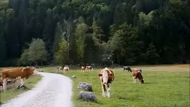 Свекровь оскорбилась, что я отказалась на ее рванье спать, до сих пор меня "принцессой" называет смотреть онлайн