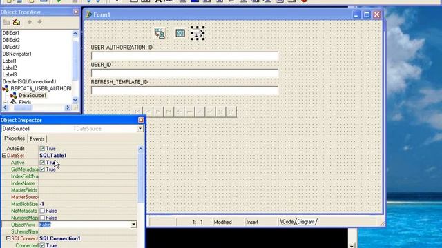 كيفية ربط الدلفي بالاوراكل-oracle odbc login delphi form смотреть онлайн