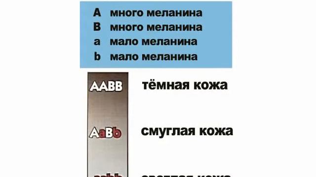 От одной крови: Библия и происхождение рас. Кен Хэм. смотреть онлайн