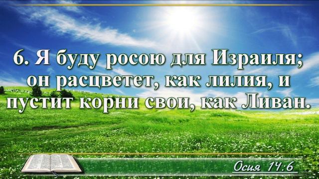 ВидеоБиблия Книга пророка Осии с музыкой глава 14 читаем и слушаем смотреть онлайн
