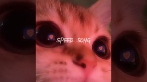 кайф ты поймала(speed up)