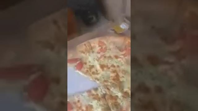 Обмыл покупочку Удилища SPORTEX смотреть онлайн