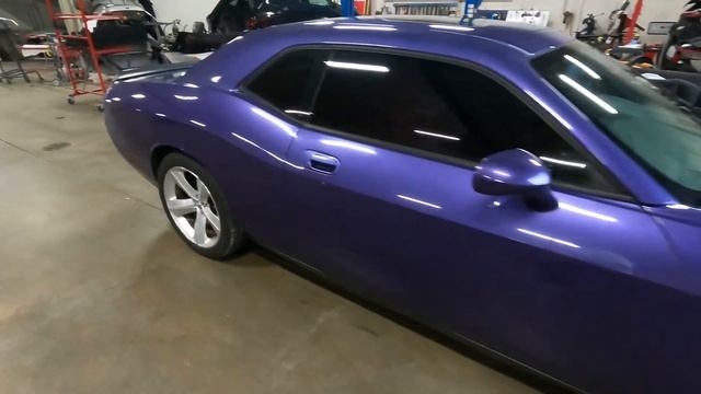 Project Perl update 8. The reveal! смотреть онлайн