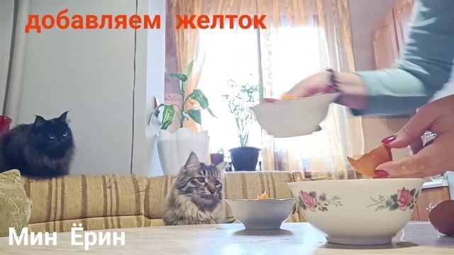 Натуральное питание кошек 7 /? Кошки едят Желток с морковкой / Вкусняшка для кошек смотреть онлайн