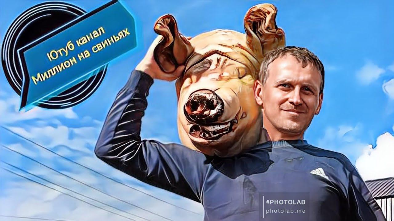 Что делать если у свиноматки нет молока. смотреть онлайн