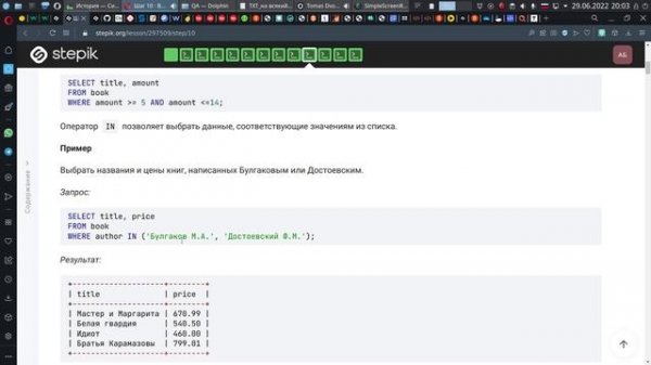 курс SQL на Stepik .mp4
