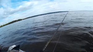 Убойная приманка МАНДУЛА ЛОВИТ! Ловля судака, берша на мандулу и ратлин.  Рыбалка с лодки!