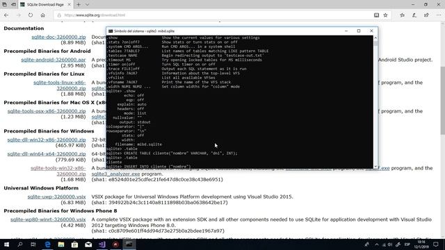 SQLITE en C# : carga de librerias y ejemplo uso. смотреть онлайн