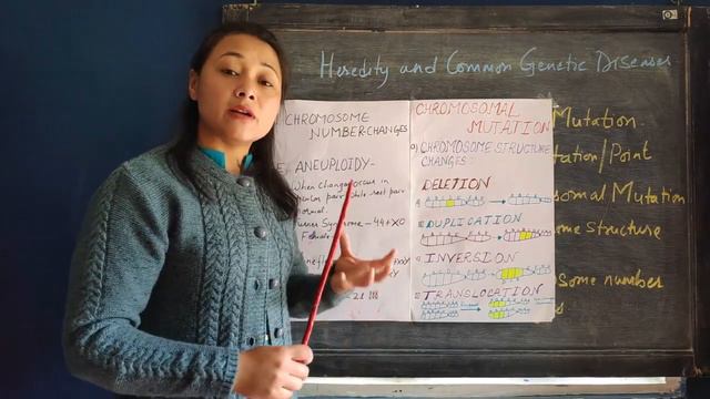 Life Science | Chapter 3 | Episode 6 | Mutation and it's Types | Madhyamik | SVTO смотреть онлайн