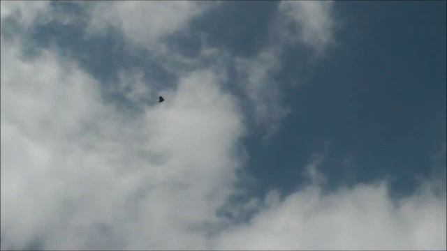 Кукча на посадке смотреть онлайн