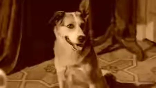 Разруха в головах. Собачье сердце. Профессор Преображенский смотреть онлайн