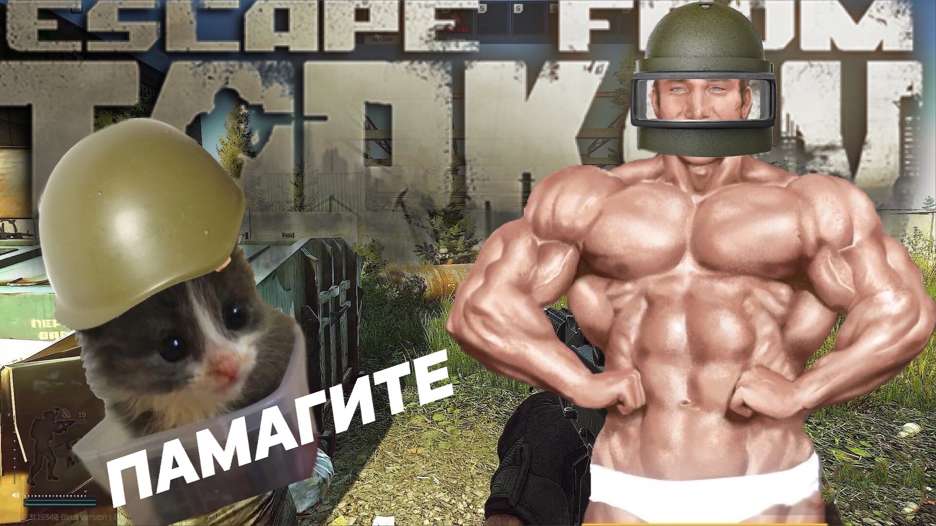 Помогаем новичка и чуть-чуть стреляемся в Escape From Tarkov #escapefromtarkov