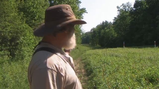 5 Navigation Techniques Every Woodsman Should Know смотреть онлайн