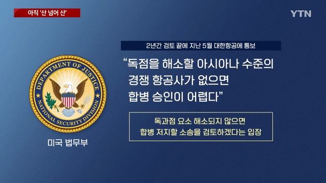 대한항공·아시아나 합병, 아직 '산 넘어 산'...남은 과제는? / YTN смотреть онлайн