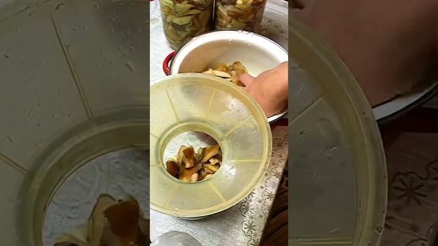 Языки и Культуры