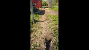 Дренаж участка без нивелира и наружного геотекстиля своими руками. Часть 2. Итоги