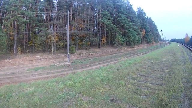 Гон по лисице смотреть онлайн