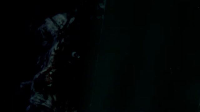 Bloodborne - Ludwig No Damage (Level 4 Waste of Skin) смотреть онлайн