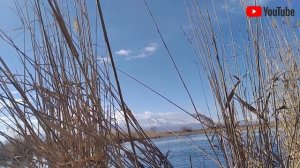 Тоз 34 охота