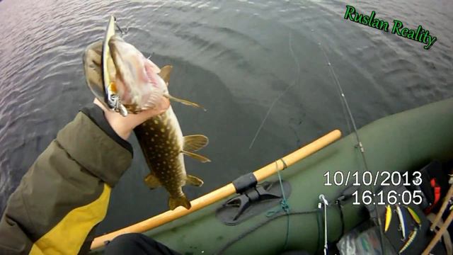 ВОБЛЕР PONTOON 21 Greedy Guts. смотреть онлайн