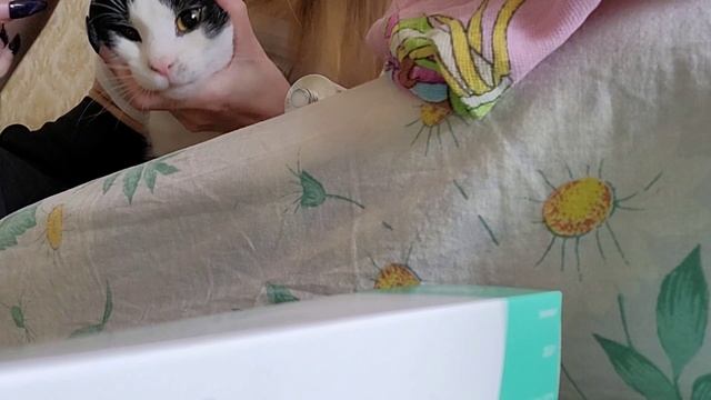 С 8 Марта ♥️Заболел ? кот, ремонт смотреть онлайн