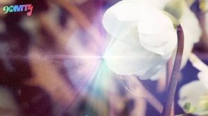 Медитация - установка на похудение во сне. Гипноз от лишнего веса