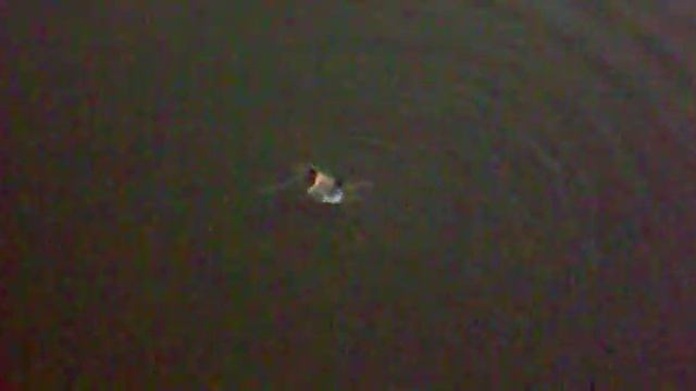 Прыжок Сани "Мейсона" с волгоградского моста смотреть онлайн