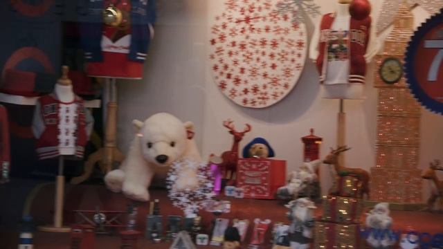 Olympus OM-D E-M1 Mark II Практический обзор