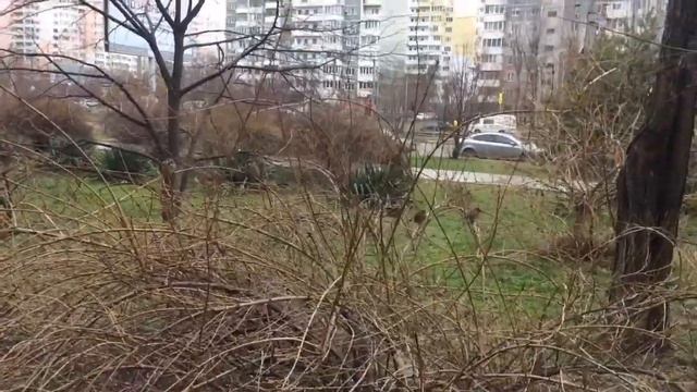 Медузки командуют! Жизнь вязальщицы ;) смотреть онлайн