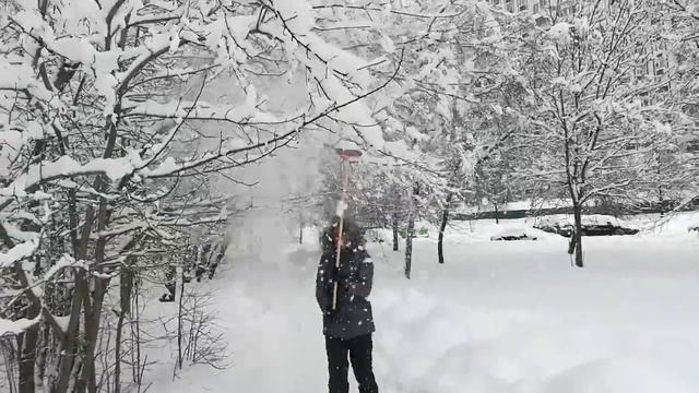 А что ты сделал, чтобы дерево не сломалось? )