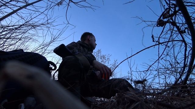 ВЕСЕННЯЯ ТЯГА. ДОБЫЛ ТРИ ВАЛЬДШНЕПА. КУЛИК ВОТКНУЛСЯ В ЗЕМЛЮ. смотреть онлайн