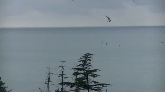 Сочи: С веранды Гостиничного номера. Вид на море. Чайки по всюду. смотреть онлайн