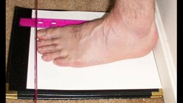 Тупость Мозга - Ногопил