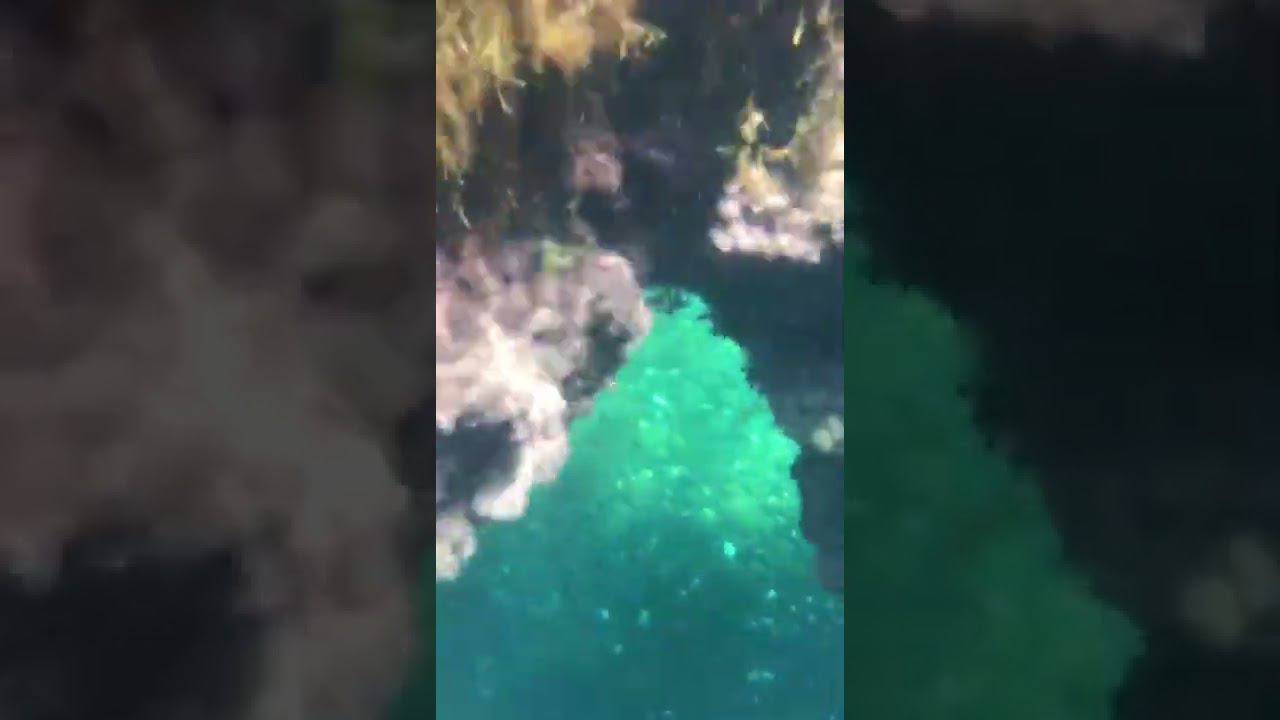 WhatsApp Video 2022 06 10 at 12 37 21 смотреть онлайн