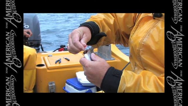 British Columbia Salmon Bait Tips смотреть онлайн