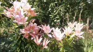 песенка на жестовом языке "Дружба крепкая не сломается"