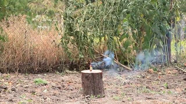 CRAZY ROBS P1008 смотреть онлайн