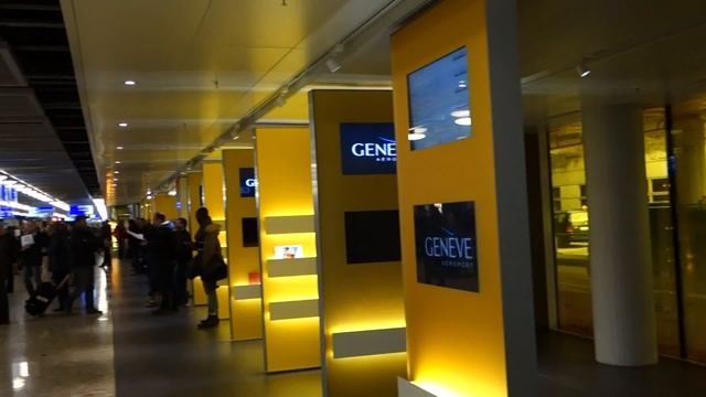 В аэропорту в Женеве. Февраль 2013 г. Встречаем рейс из Москвы. смотреть онлайн