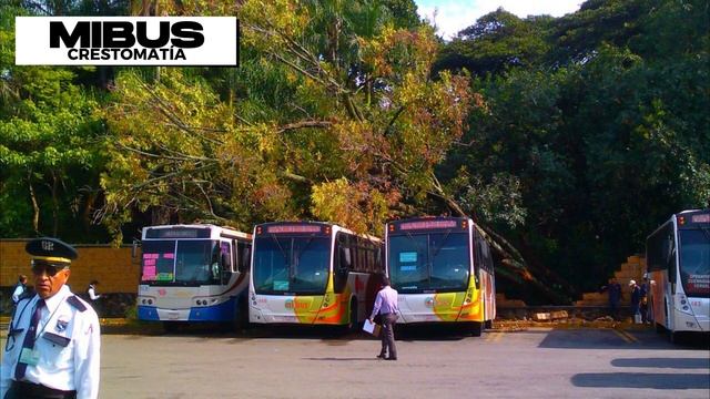 PULLMAN DE MORELOS: La línea que ofrece los mejores servicios en Morelos | BUSOLINE MX 5 смотреть онлайн