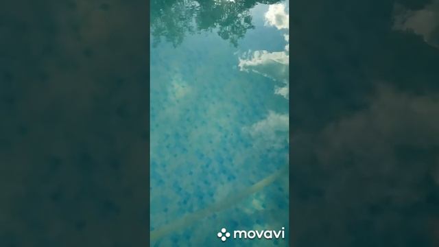 Пылесосим бассейн смотреть онлайн