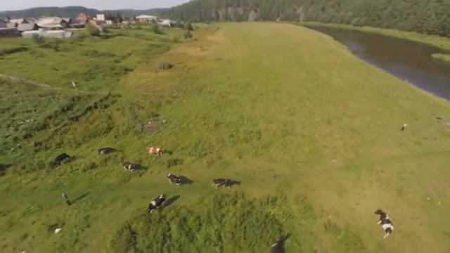 "Моя земля - гениальная равнина" смотреть онлайн