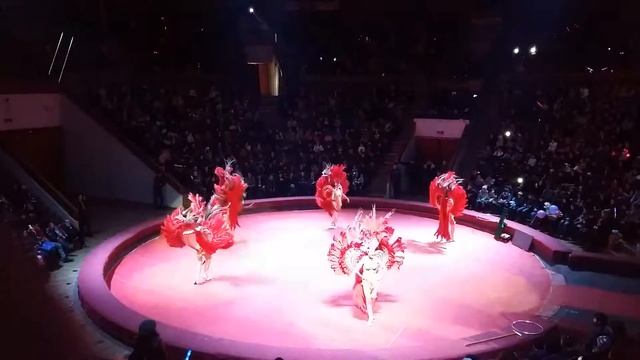 Цирк в Баку 2 смотреть онлайн