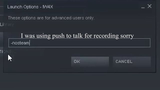 IW4X Fatal Error 0XC0000005 Fix 2020 (Steam) смотреть онлайн